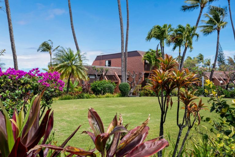 Photo of the resort surrounded by plants