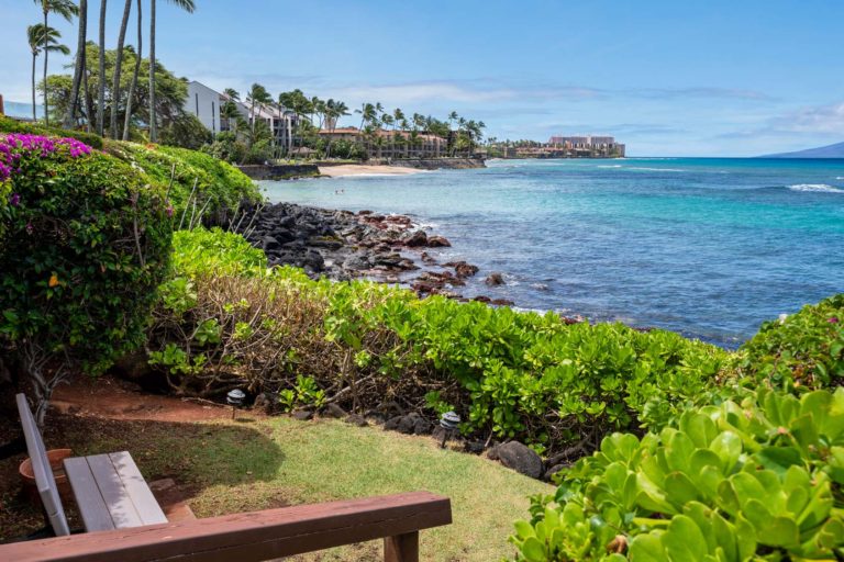 Photo of a bench facing the ocean